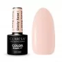 DUSTY ROSE 1 CLARESA / Geelikynsilakka 5ml