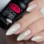 PNB WIZARD DUST 258 / Gel-lakas nagams 8ml