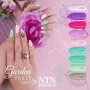 Ntn Premium Garden Party Collection 5g Nr 173 / Geelikynsilakka 5ml