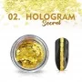 02 Nr. Nagelpuder Hologram Secret