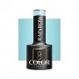 OCHO NAILS Rainbow R11 hybrid nail polish -5 g