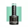 OCHO NAILS Rainbow R10 hybrid nail polish -5 g