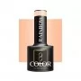 OCHO NAILS Rainbow R02 hybrid nail polish -5 g