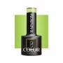 OCHO NAILS Rainbow R09 hybrid nail polish -5 g