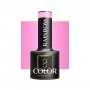 OCHO NAILS Rainbow R05 hybrid nail polish -5 g