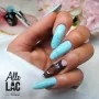 AlleLac Macaroons & Muffins Collection 5g Nr 116 / Гель-лак для ногтей 5мл