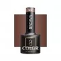 Ocho Brown 807 / Gel-Nagellack 5ml