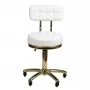 Cosmetic stool Gold AM-961 white