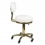 Cosmetic stool Gold AM-961 white