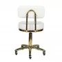 Cosmetic stool Gold AM-961 white