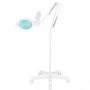 Glow Moonlight 8013/6' white LED lamp with tripod