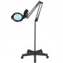 Glow Moonlight 8013/6' melna LED lampa ar statīvu