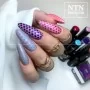 „NTN Premium Celebration NR 171“ / „Nail Gel-Pintes 5ml“