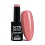 Ntn Premium Drama Queen Nr. 211 / Gel-Nagellack 5 ml