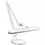 LED luminaire Elegante 801-TL with adjustable base