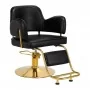 Hairdressing chair Hair System Linz gold black