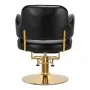 Hairdressing chair Hair System Linz gold black