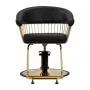 Hairdresser's chair Gabbiano Lille-M gold black