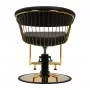 Hairdresser's chair Gabbiano Lille-M gold black