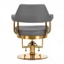 Barber chair Gabbiano Granada golden gray