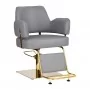 Hairdressing chair Gabbiano Linz golden gray