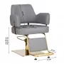 Hairdressing chair Gabbiano Linz golden gray