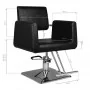 Hair System SM313 Hairdressing Chair Black