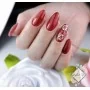 Żel-lak MollyLac Hearts & kisses dazzling kisses 5ml nr 197