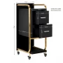 Gabbiano hairdresser assistant Solo gold - black