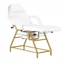 557G Cosmetical chair of gold with white kweets