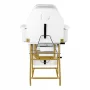 557G Cosmetical chair of gold with white kweets