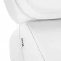 Electric cosmetic chair SILLON Luxury, 3 motors, white